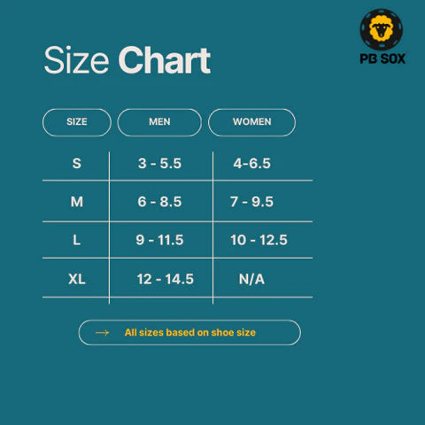 2-Pack Merino Wool Pickleball Low-Show Socks (Two Pair)