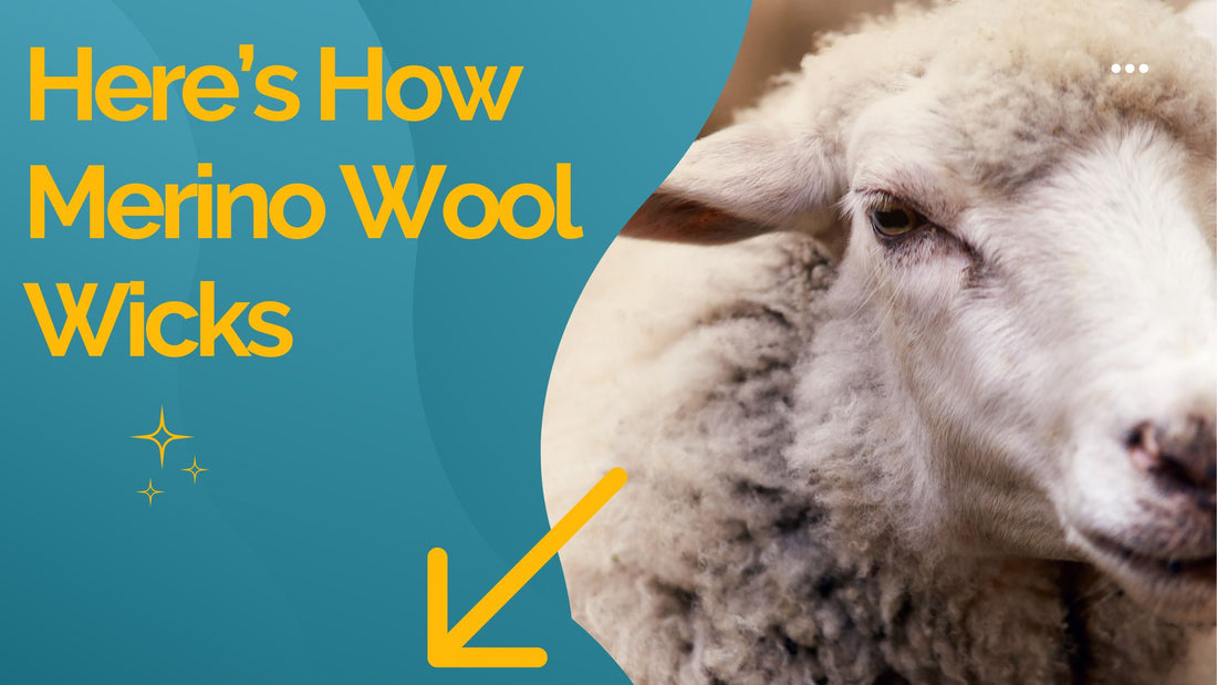 Here's How Merino Wool Wicks